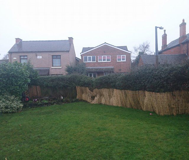 hedge removed